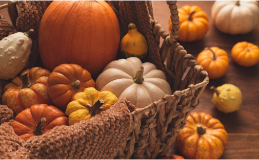 Autunno in tavola: i benefici della zucca per la salute
