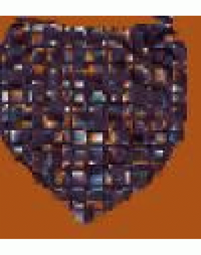 FOULARD C/PROT FFV 1