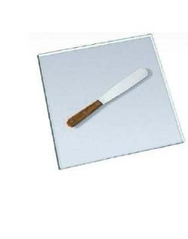 SPATOLA INOX 20CM