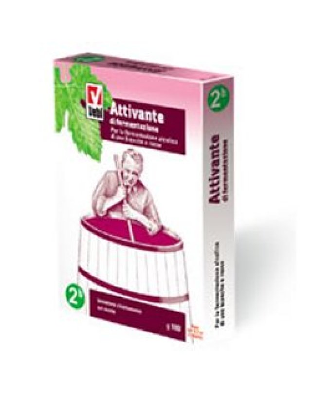 ATTIVANTE FERMENTAZIONE 100G