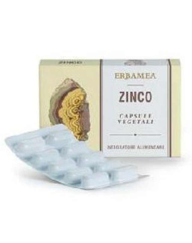 ZINCO 24 Cps Veg.EBM