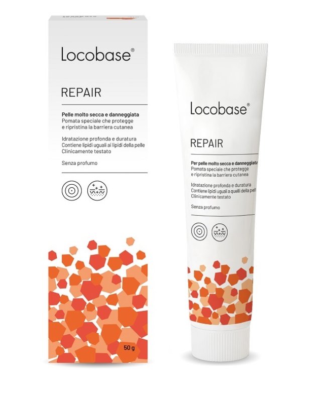 LOCOBASE-REPAIR 100G