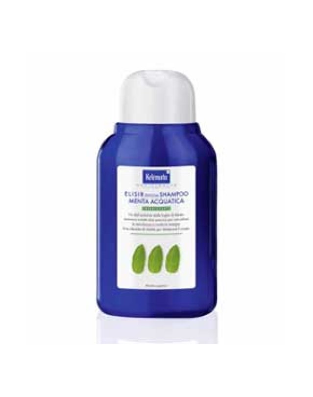 OFFICINALIA DOCCIA MENTA 250ML