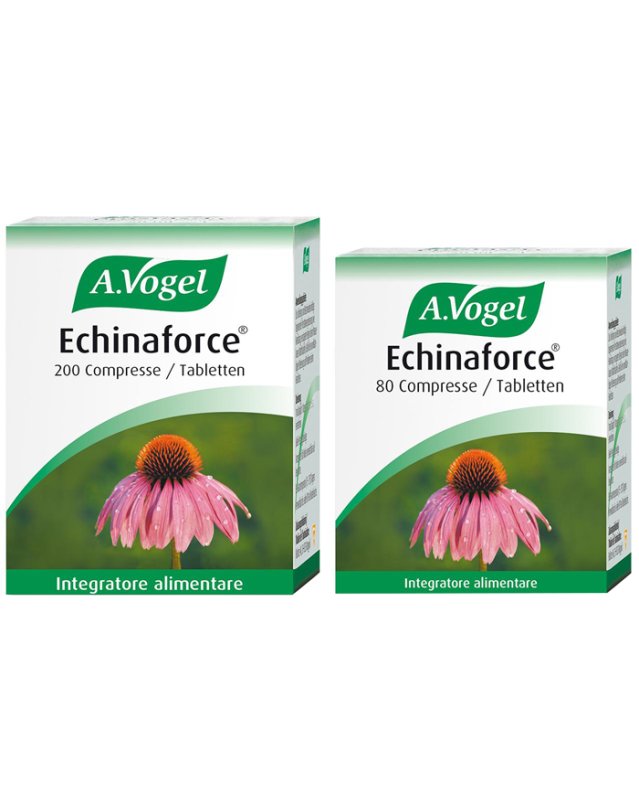 ECHINAFORCE 80CPR VOGEL