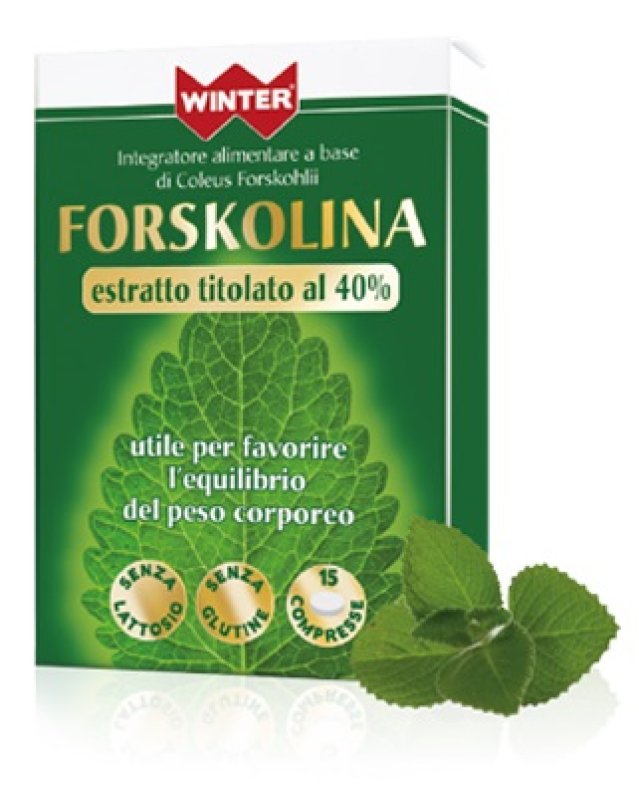WINTER FORSKOLINA 15CPR