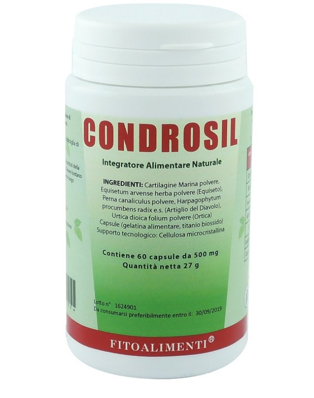 CONDROSIL 60CPS EURONATUR