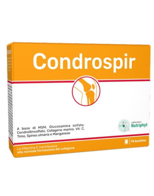 CONDROSPIR 14 Bust.