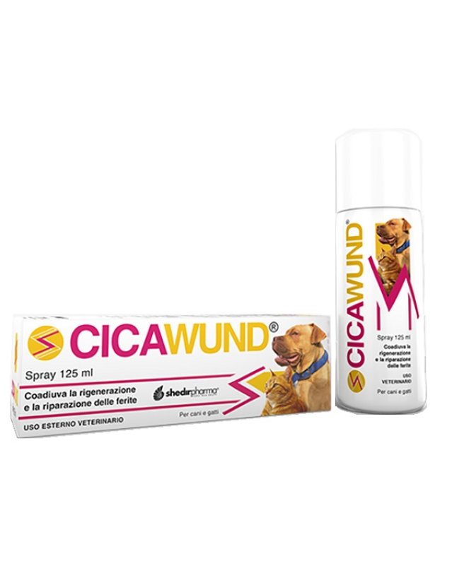 CICAWUND Spray 125ml