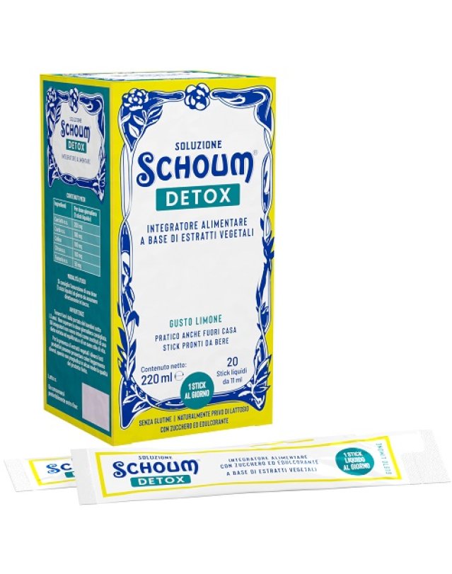 SOLUZIONE SCHOUM DETOX 20STICK
