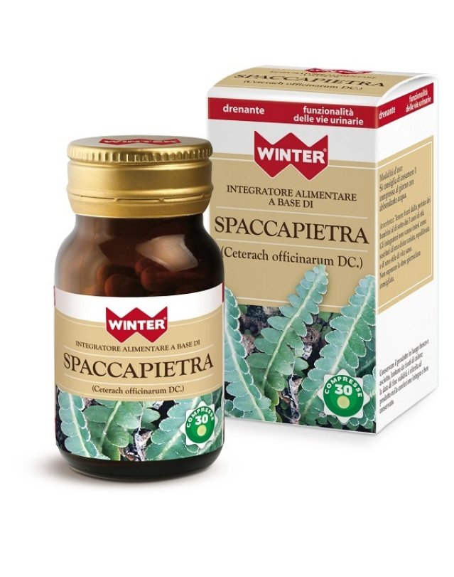 WINTER Spaccapietra 30 Cpr