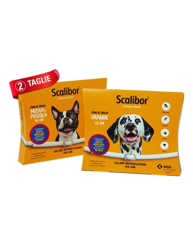 SCALIBOR PR.BAND 65CM BI VET