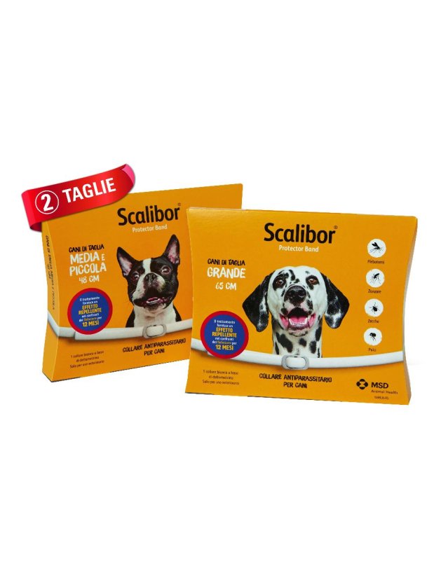 SCALIBOR PR.BAND 48CM BI VET