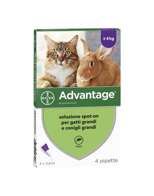 ADVANTAGE*4PIP 0,8ML GATTI SUP4K