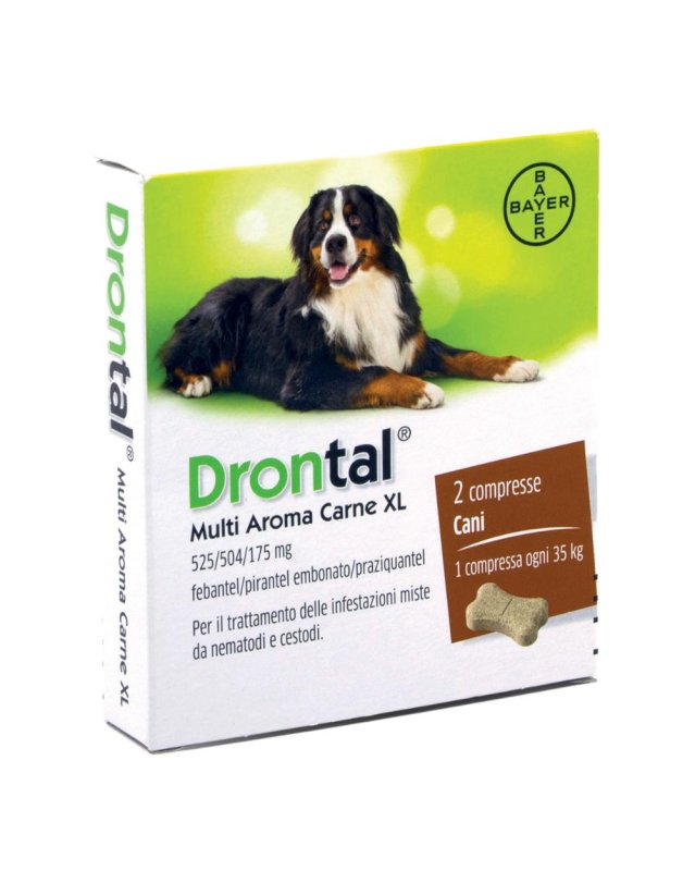 DRONTAL-MULTI AR CARNE XL*2CPR