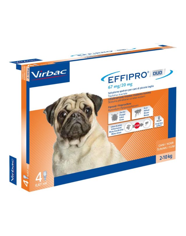 EFFIPRO Duo Cane  2-10(4x0,67)