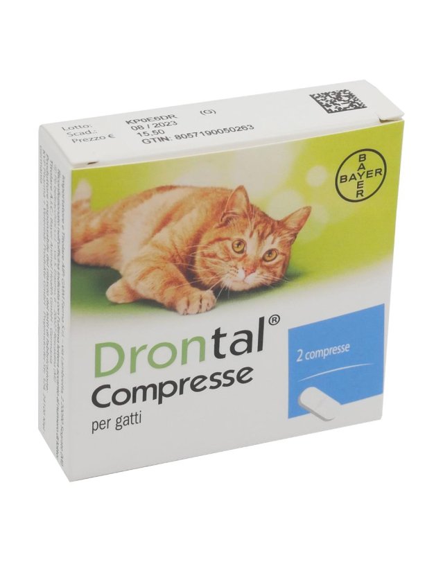 DRONTAL*GATTO  2CPR GMM