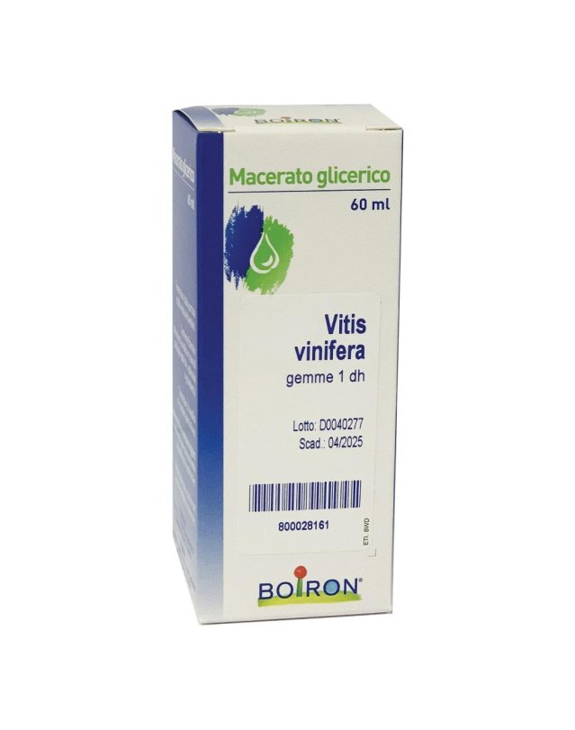 VITIS VIN GEM MG 60ML BO