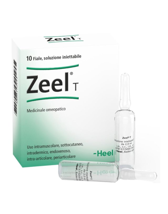ZEEL T 10FL HEEL