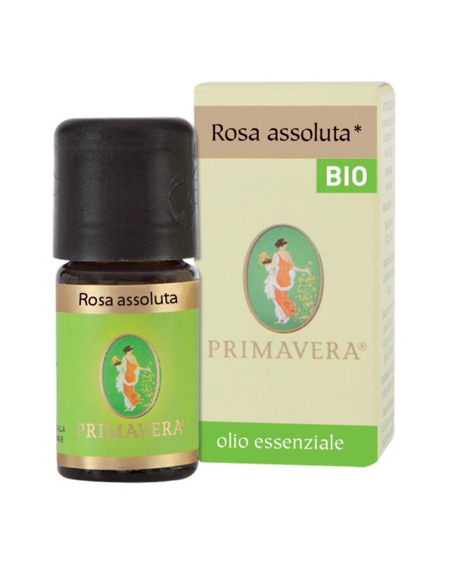 ROSA TURCA ASS CONV OLIO ES FLOR