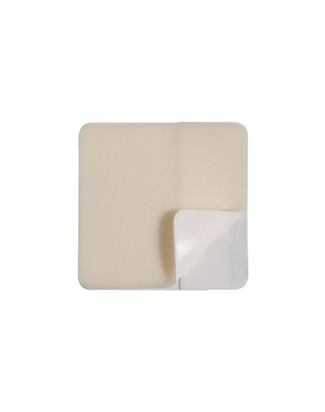 ASKINA TRANSORBENT 10x10 5pz