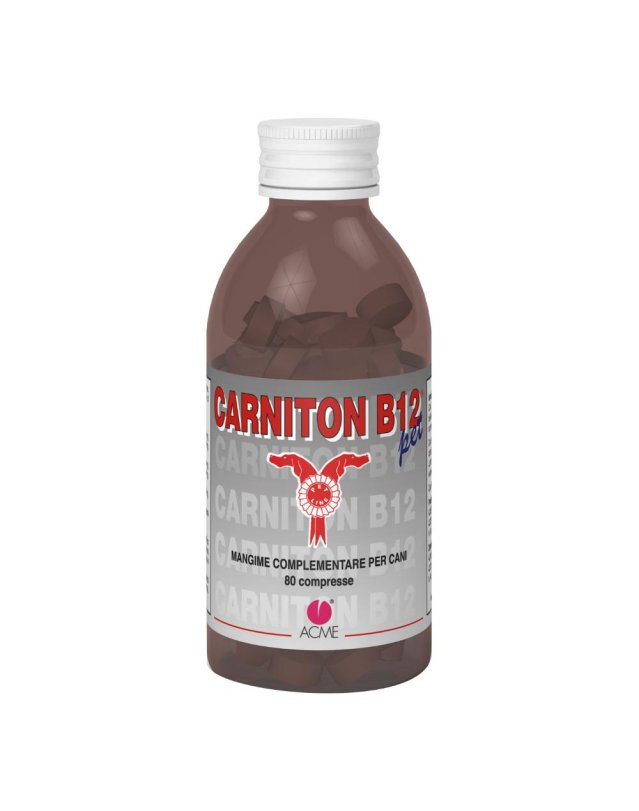 CARNITON-B12 PET 80CPR 80G
