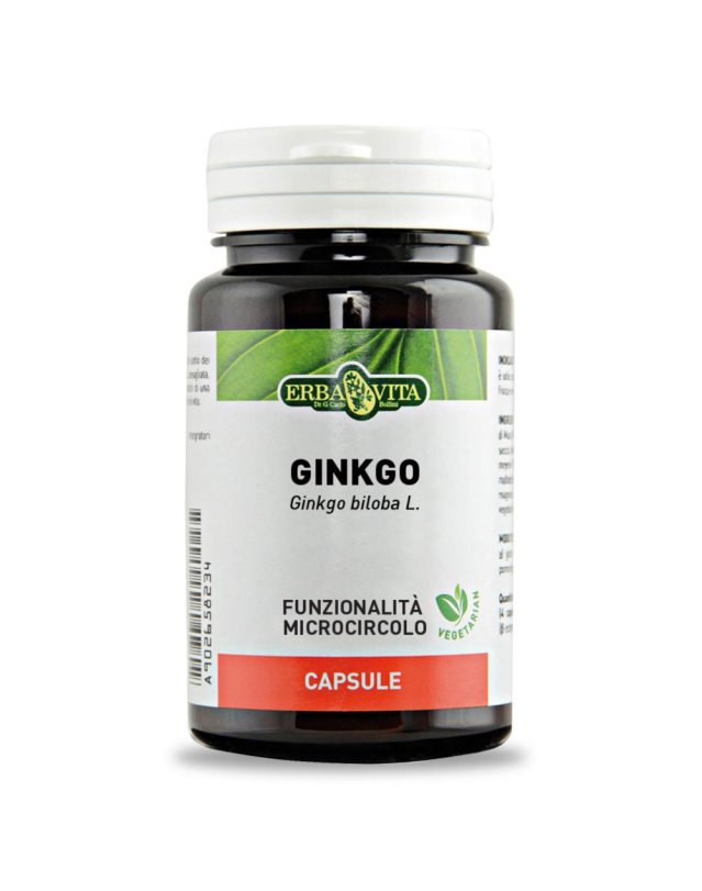 GINKOBILOBA 60CPS EBV