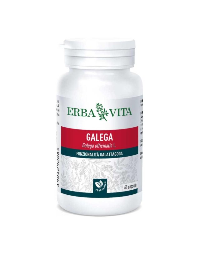 GALEGA 60CPS 350MG ERBAVITA