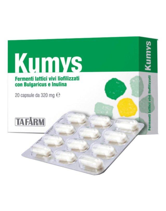 KUMYS FERM LATT 20 OPER