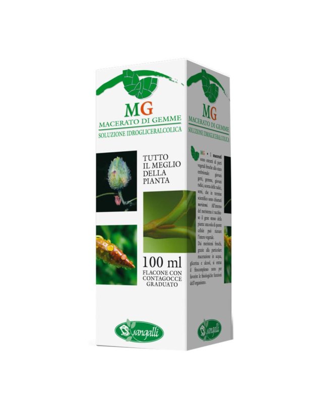 BETULA PUBESCENS 100ML MG