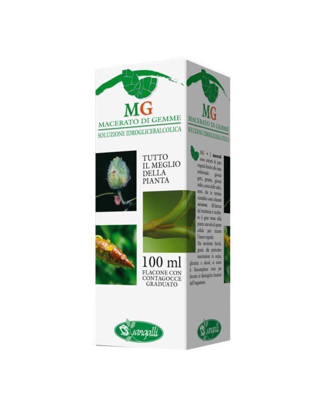 BETULA VERRUCOSA 100ML MG