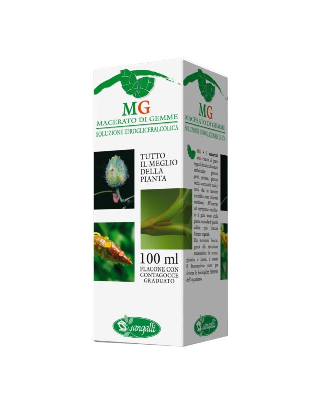 FICO 100ML MG