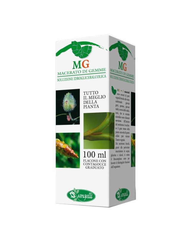 LAMPONE 100ML GM