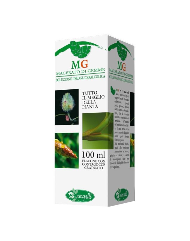 RIBES 100ML MG