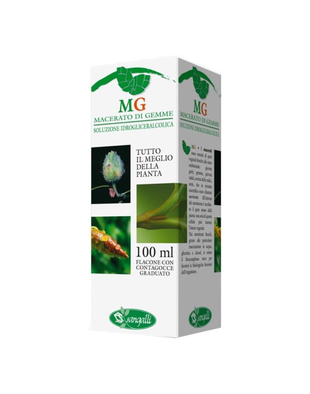 TIGLIO ARGENT 100ML MG