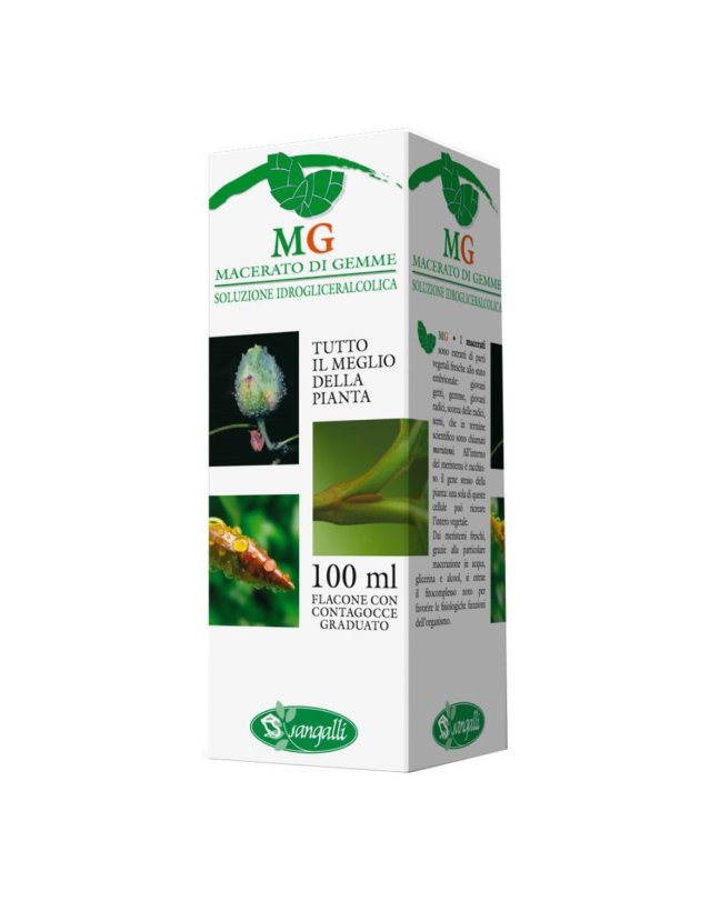 VITE 100ML MG