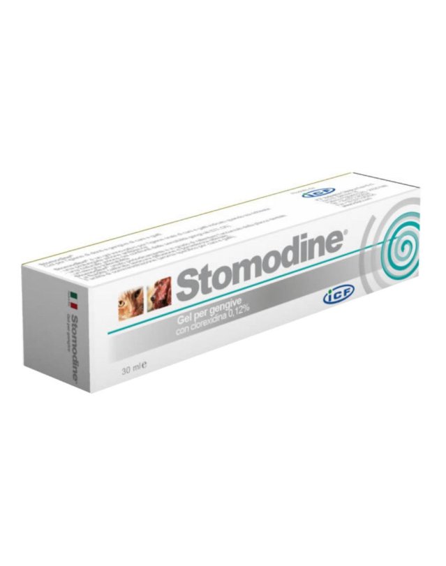 STOMODINE GEL GENG 30ML CANI