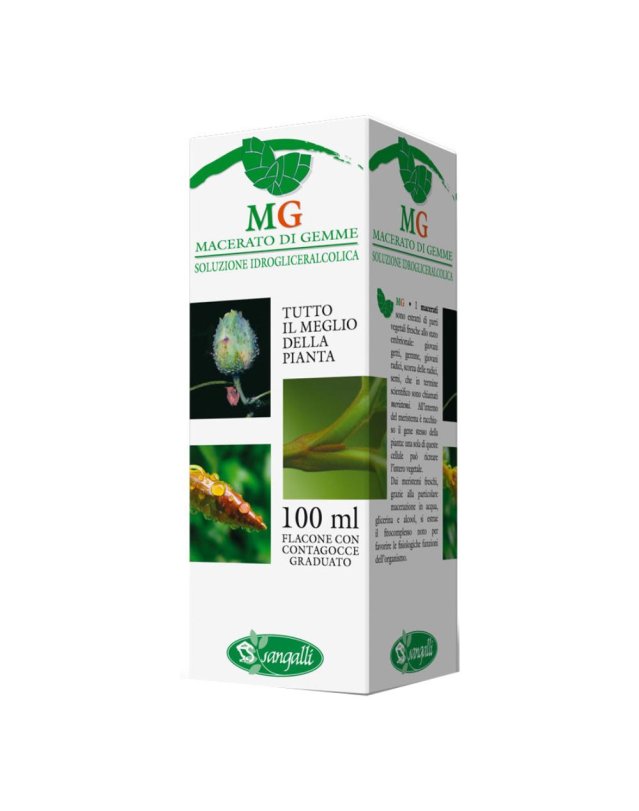 BETULLA 100ML MG