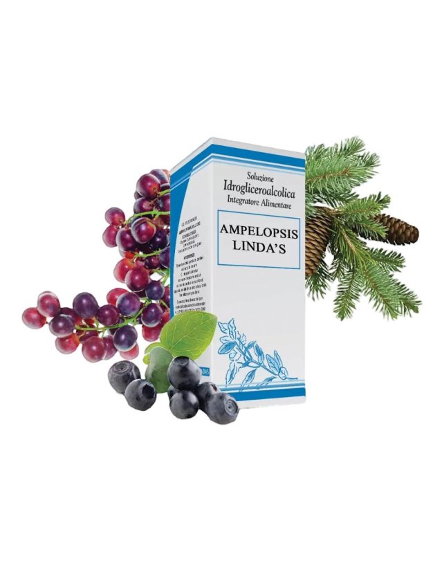 AMPELOPSIS 50ml DREMA LINDA'S