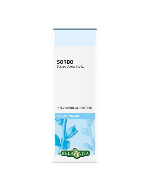 GEMMODERIVATO SORBO 50ML