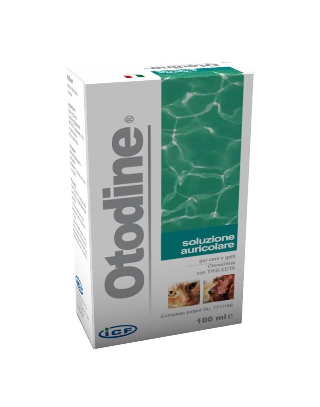 OTODINE DET LIQ 100ML VET