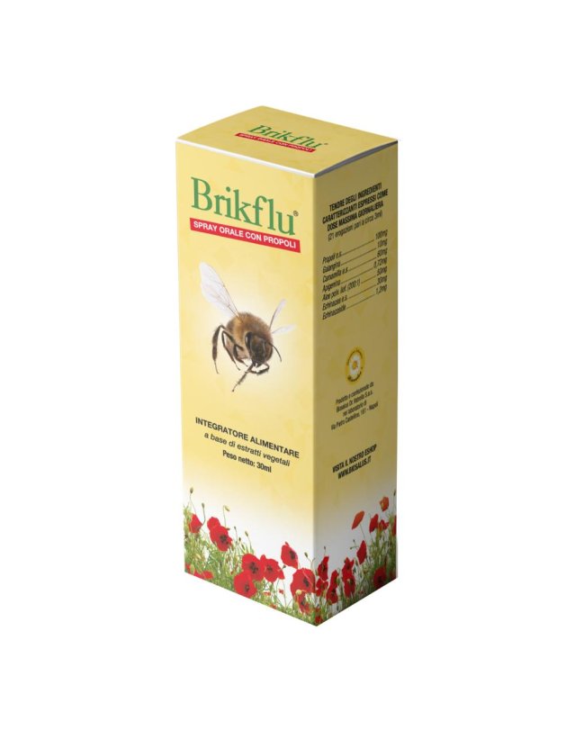 BRIKFLU Spray Nat.30ml