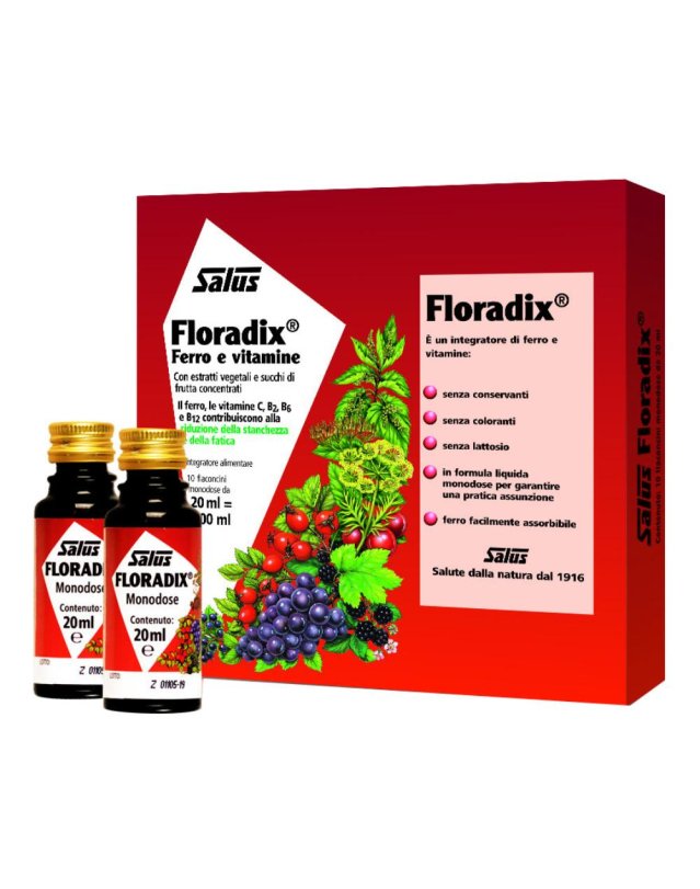 FLORADIX-FERRO 10 FLACONCINI20ML