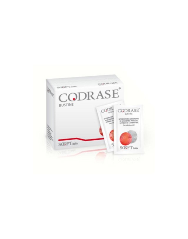 CODRASE-INTEG 20 BUSTE
