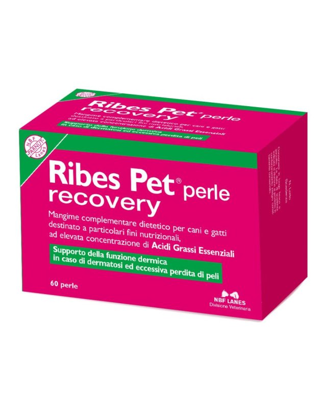 RIBES PET RECOVERY 60PRL