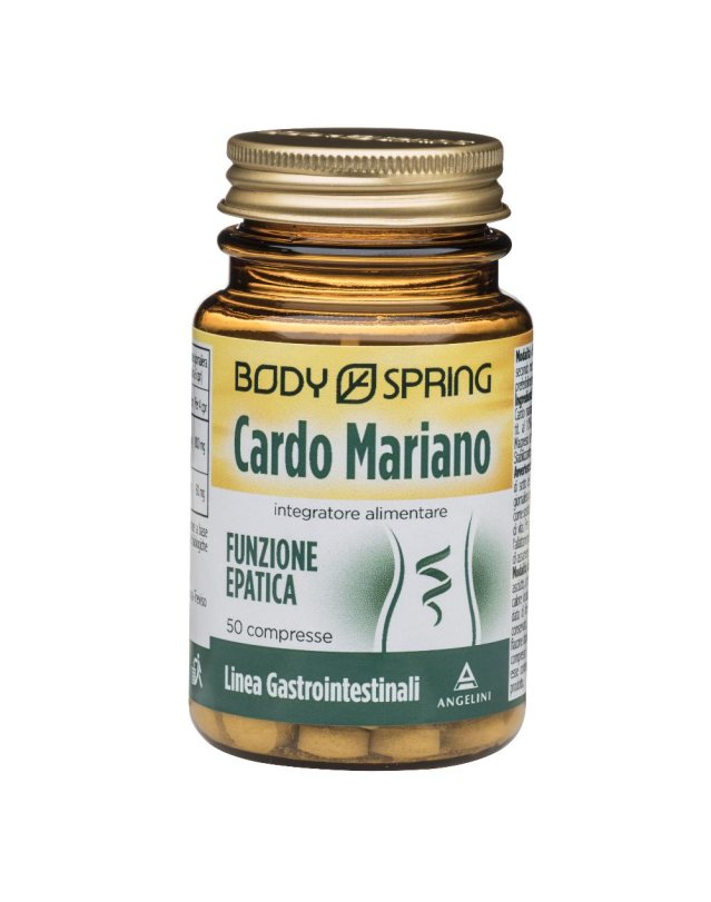 BS CARDO MARIANO 50TAV 25G BSP