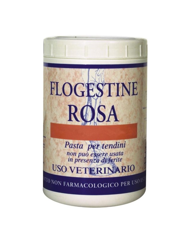 FLOGESTINE ROSA PASTA 1KG