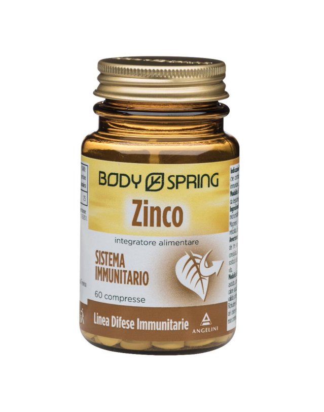 BS BIO ZINCO 60CPR 350MG
