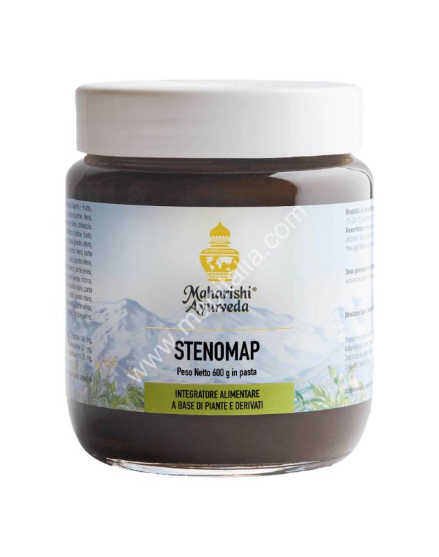 STENOMAP (MA 323) Pasta 600g