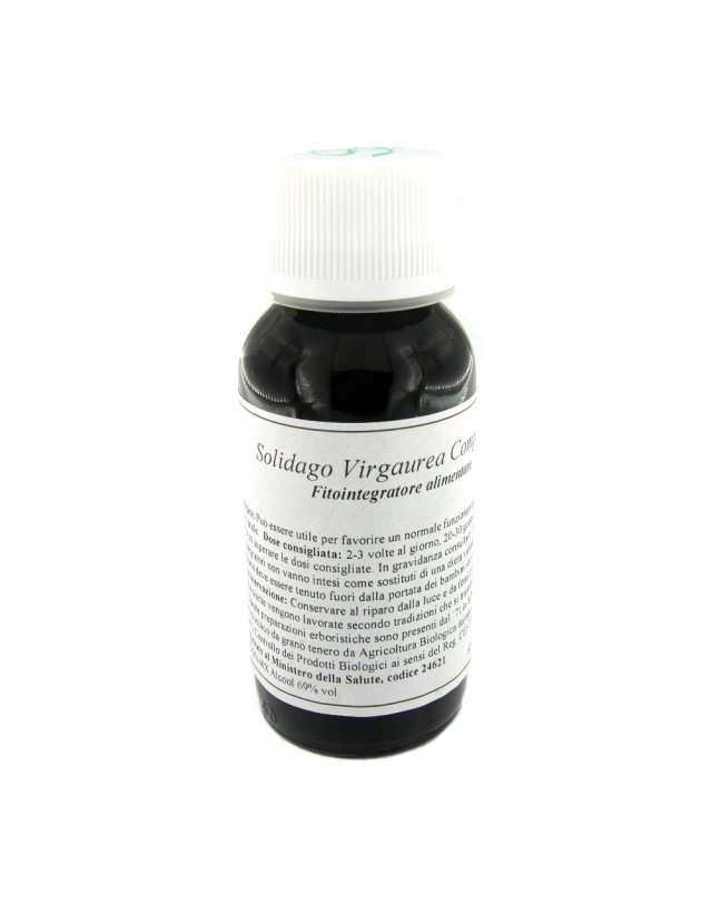 LVS 07N Solidago Virg.Comp.