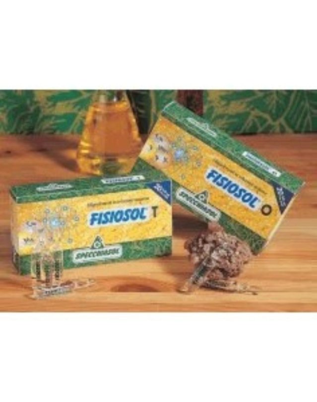 FISIOSOL F 20 FIALE 2ML